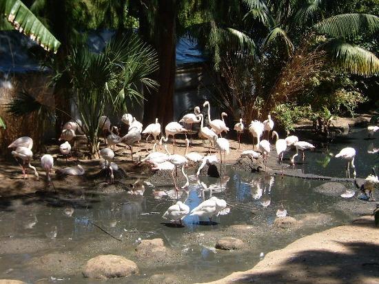 World of Birds Hout Bay, Cape Town, South Africa